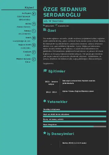 Acil Tıp Teknisyeni CV Örnekleri cv indir